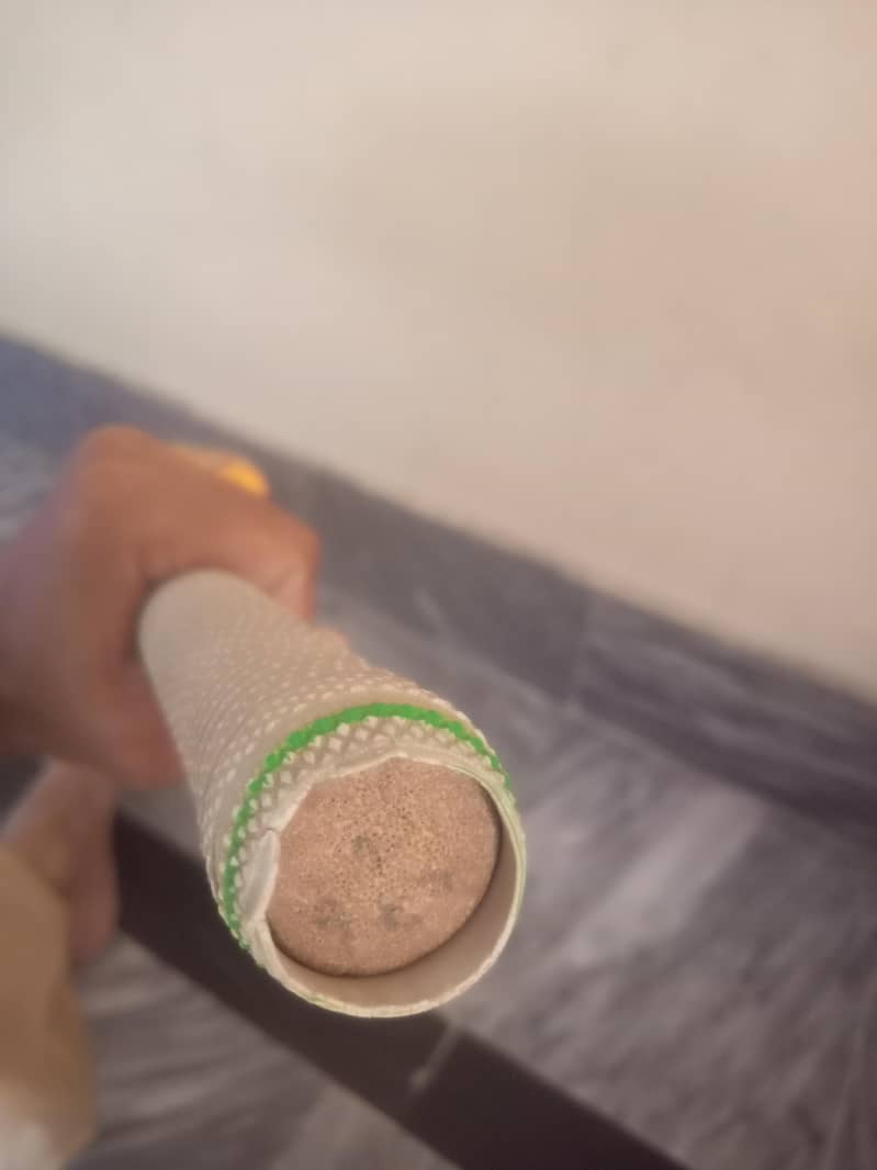 coconut bat 4