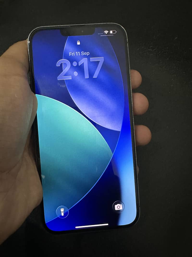 iPhone 13 Pro Max jv 1
