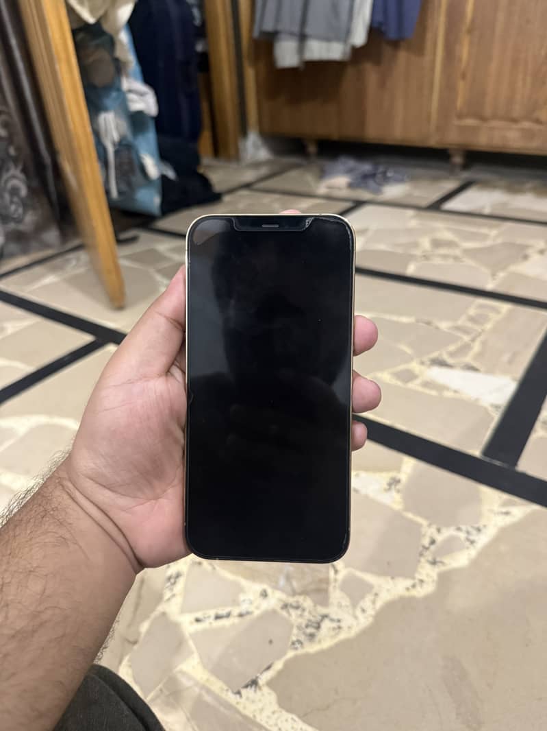 Apple iPhone 12 Pro Max 1