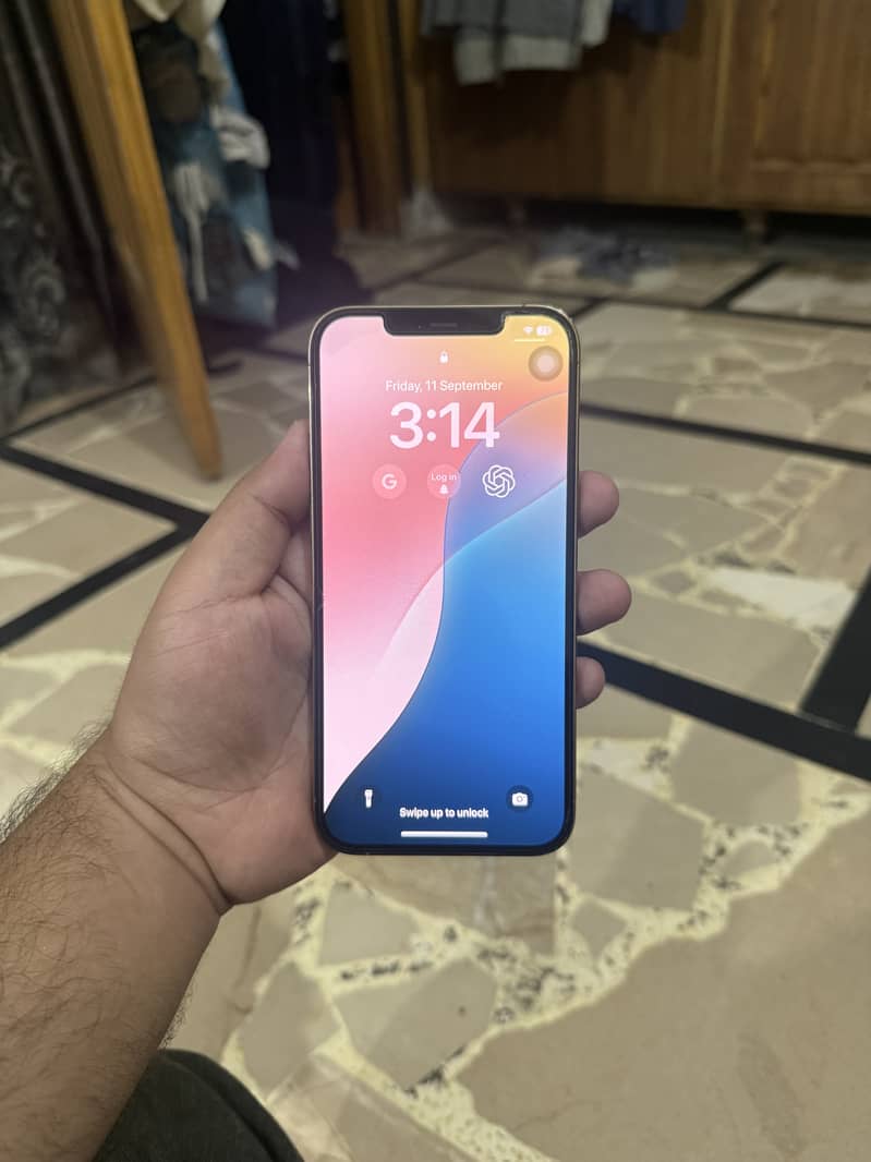 Apple iPhone 12 Pro Max 2