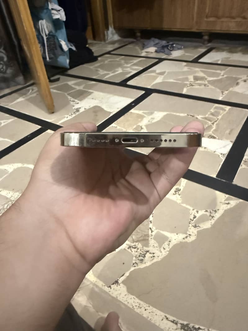 Apple iPhone 12 Pro Max 3