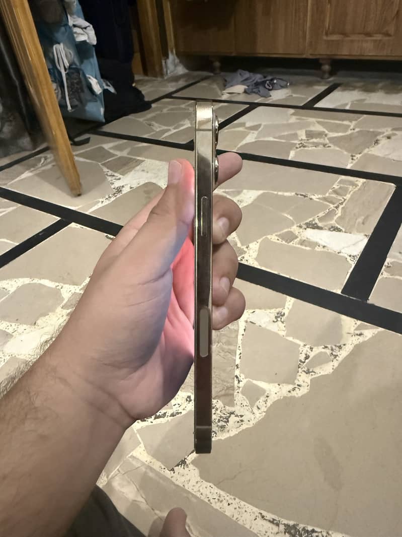 Apple iPhone 12 Pro Max 5