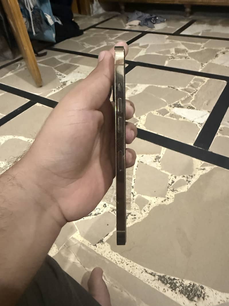 Apple iPhone 12 Pro Max 6
