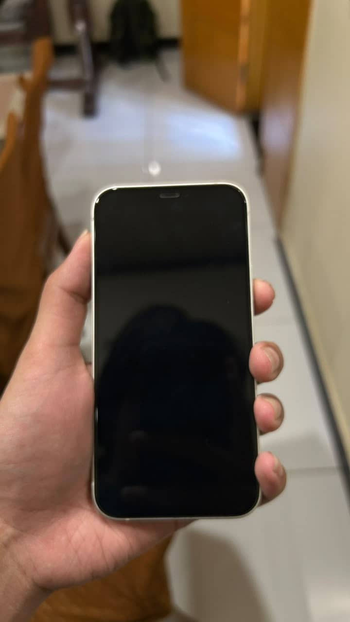Apple iPhone 12 1