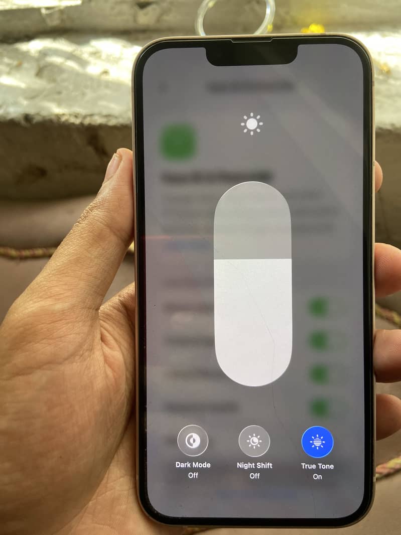Apple iPhone 13 0