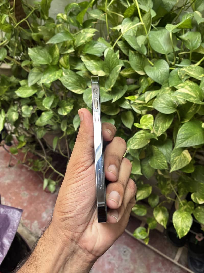 Apple iPhone 12 Pro 1