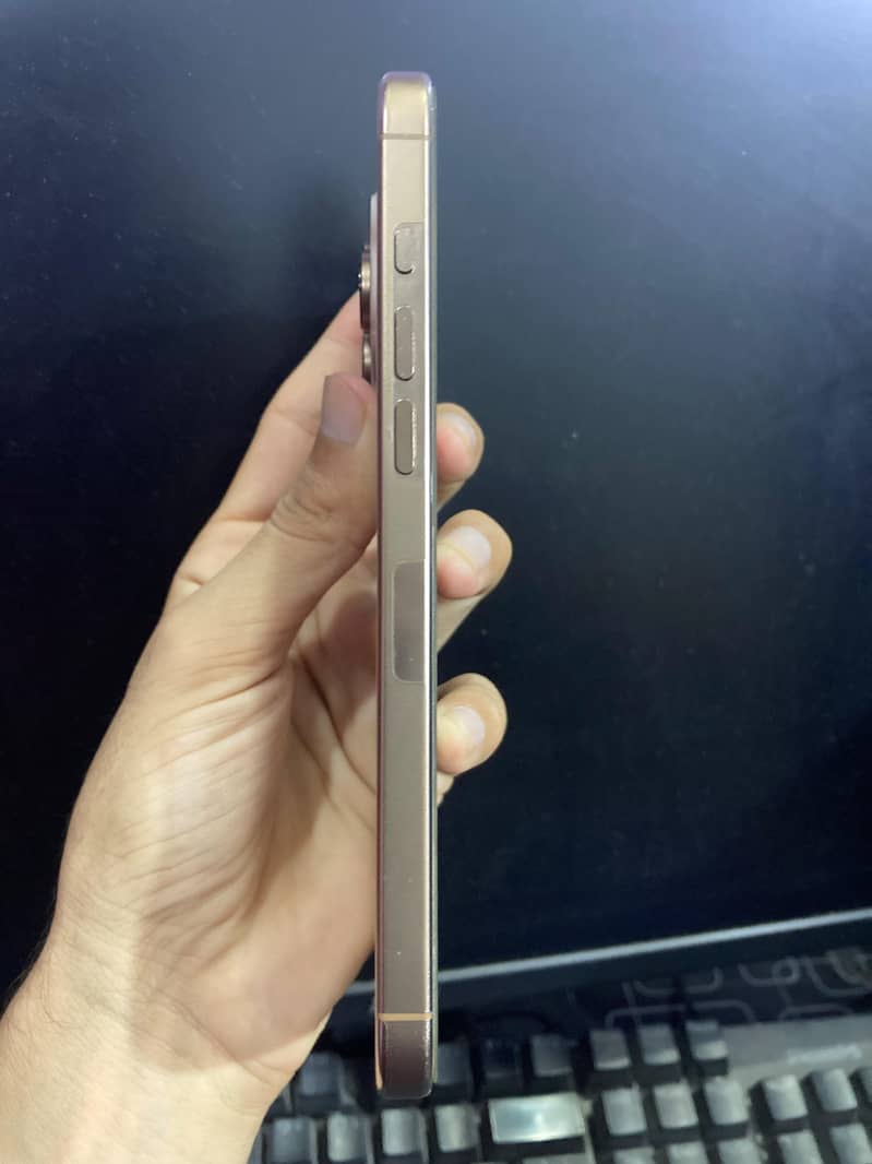 Apple iPhone 16 Pro Max 2