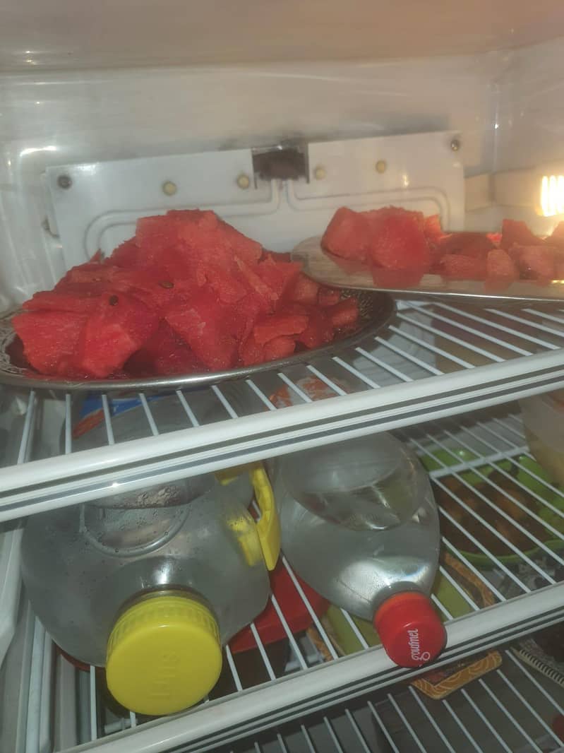 Refrigerator Medium Size 3