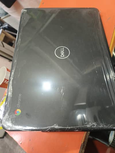 Dell 3100