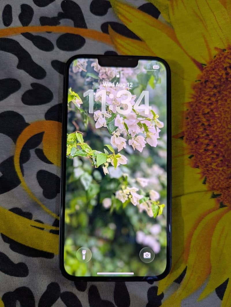 Apple iPhone 13 0