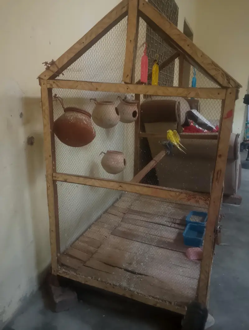 house,pinjra,tote ka pinjra, — photo 3