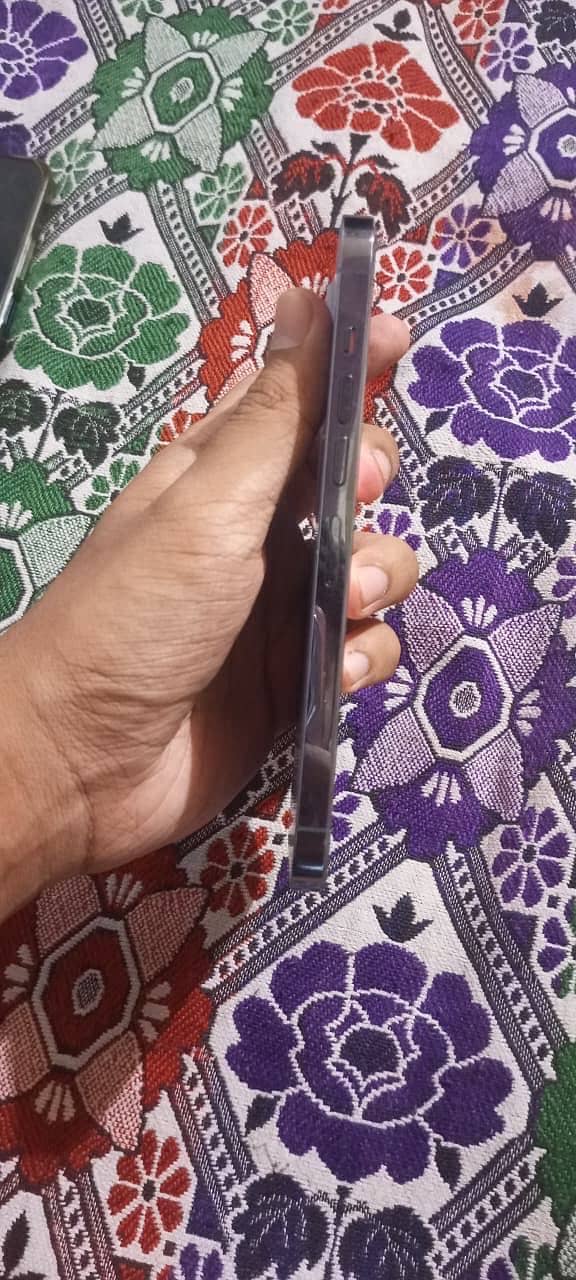 Apple iPhone 13 Pro Max 2