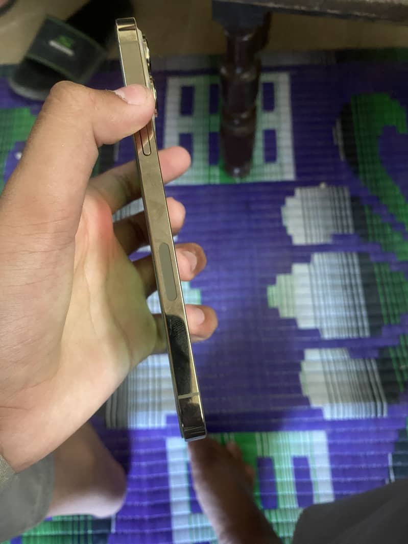 Apple iPhone 13 Pro Max 1