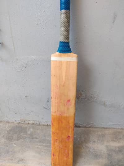 English willow bat for sale