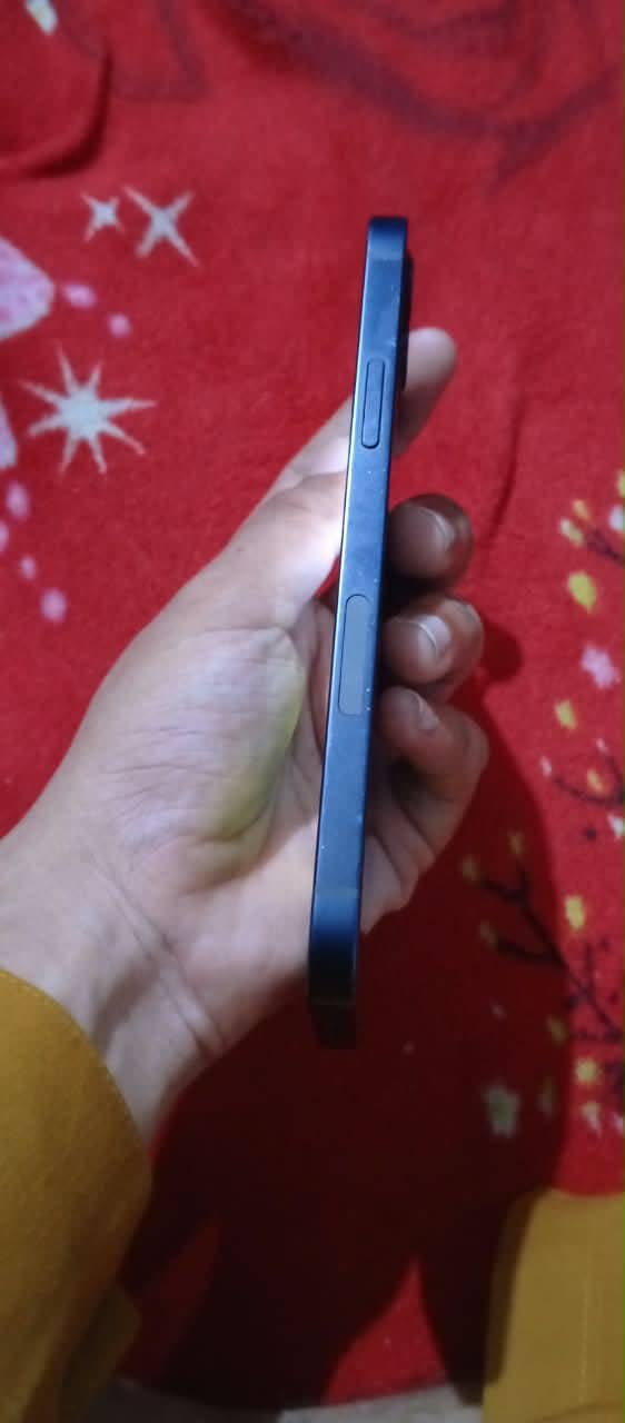 Apple iPhone 12 1