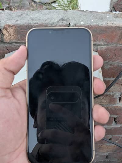 Apple iPhone 13 Pro