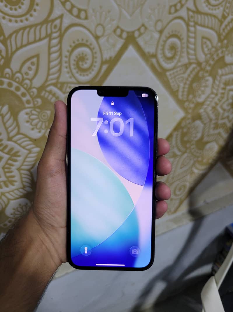 Apple iPhone 13 Pro Max 1