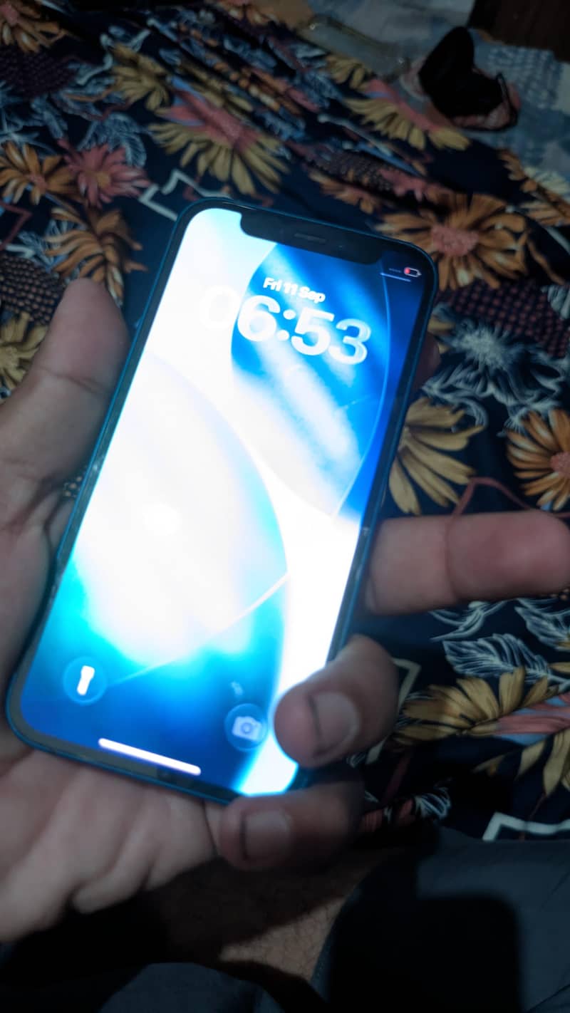 Apple iPhone 12 mini 1