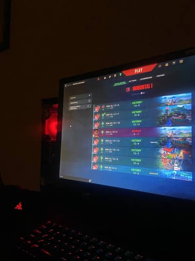 Gaming Monitor 144hrtz (XL2411P)