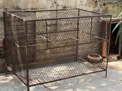 Ms Cage