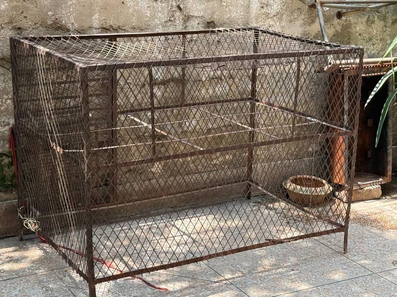 Ms Cage 0