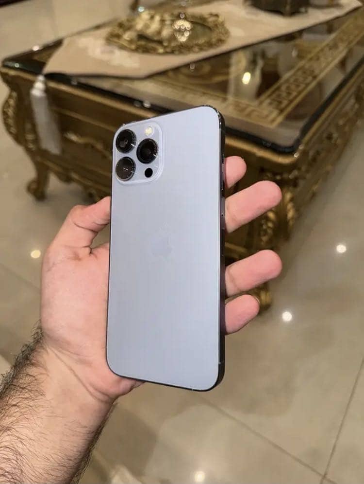 Apple iPhone 13 Pro Max 1