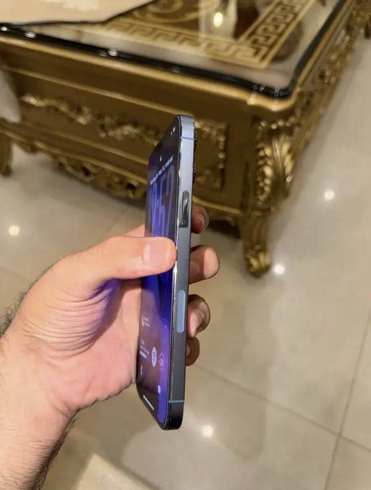 Apple iPhone 13 Pro Max 2