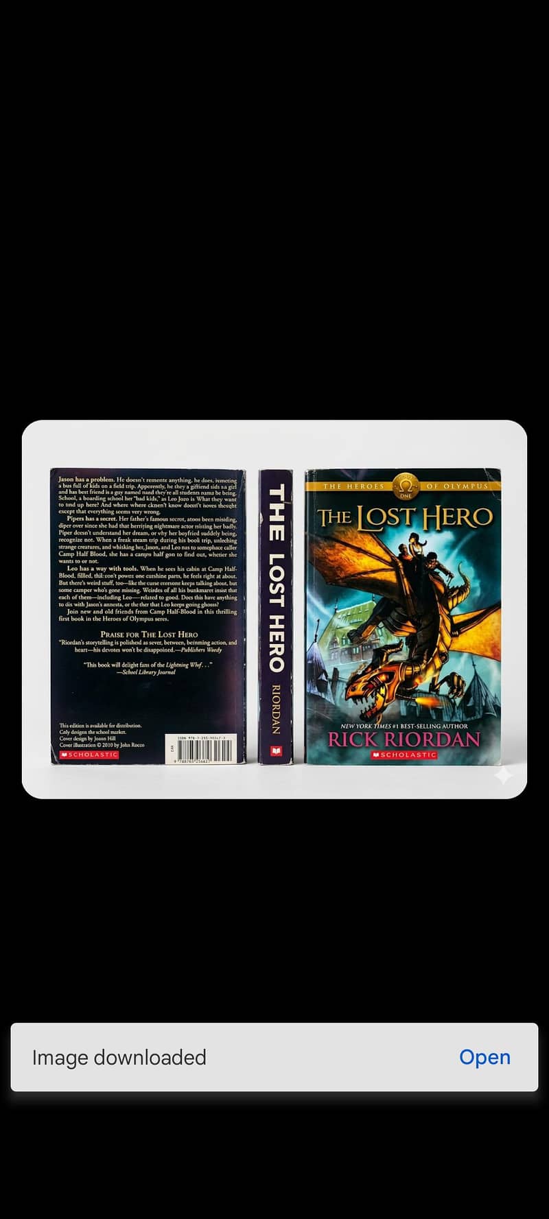 The Lost Hero 1