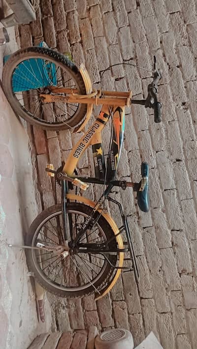 new coundtion bicycles