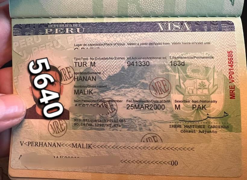 Visas 2