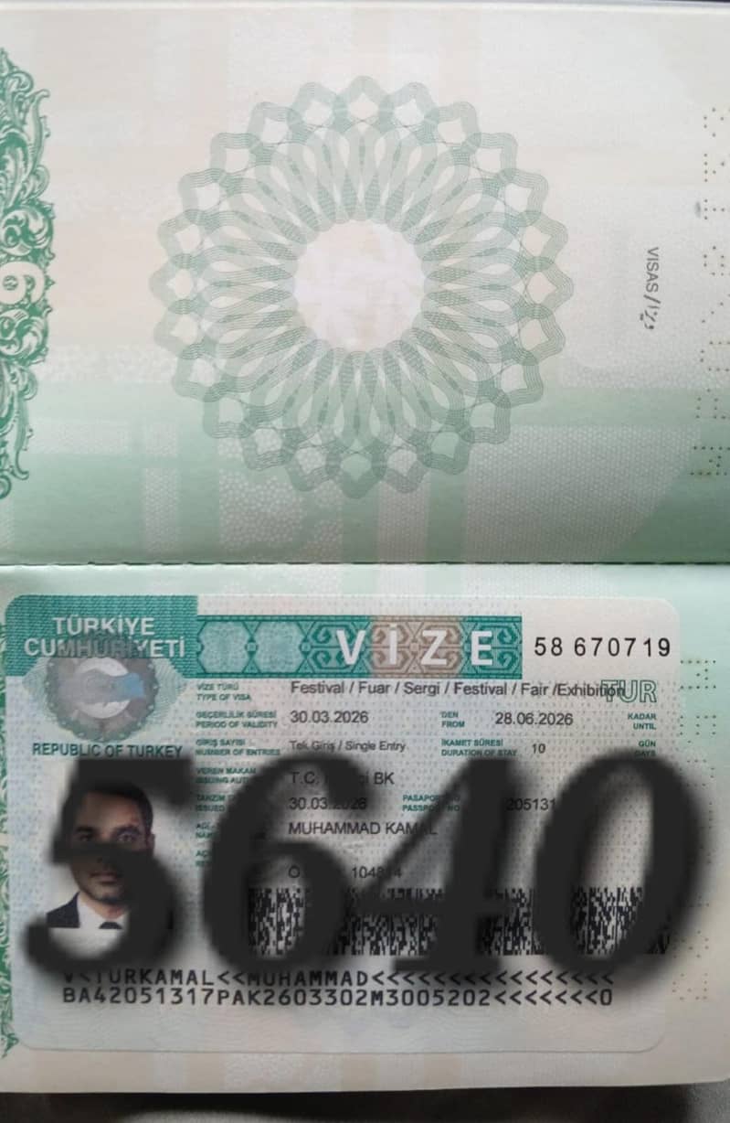 Visas 12
