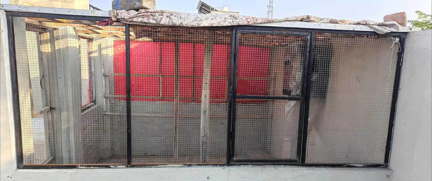 iron cage — photo 2