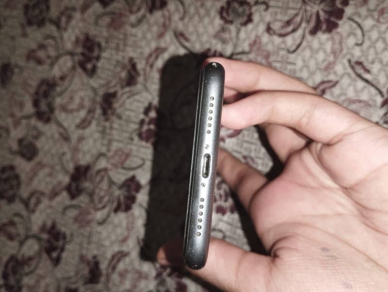 Apple iPhone 11 2