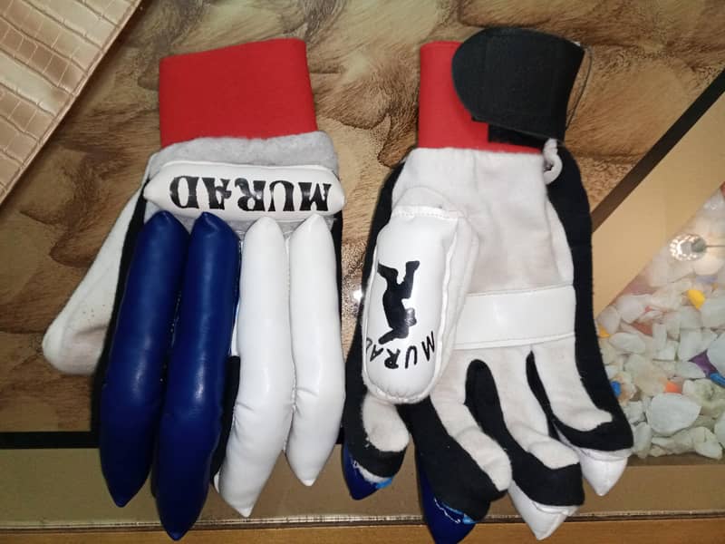 Cricket Kit 5