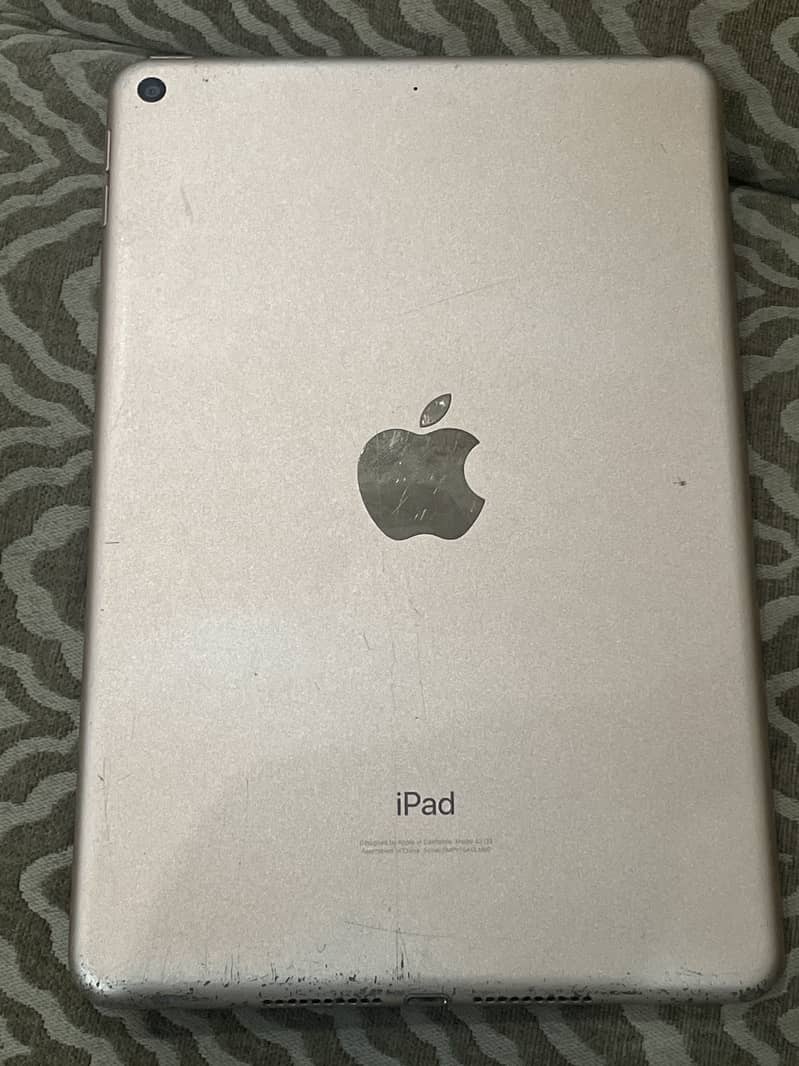 iPad mini 5 0