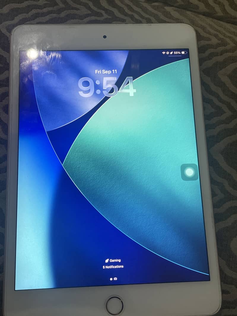iPad mini 5 1