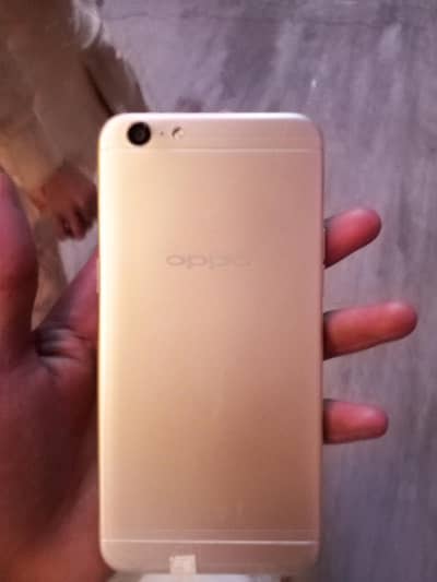 for sale no isu