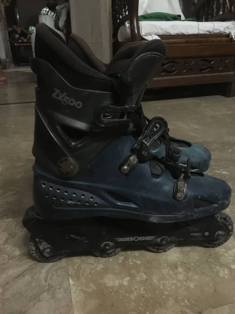 Skating Shoes 3
