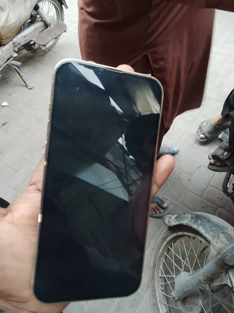 Apple iPhone 13 Pro Max 2