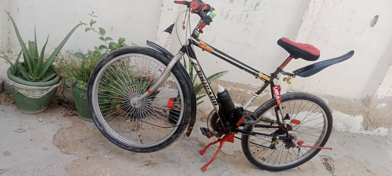 Imported Cycle 1