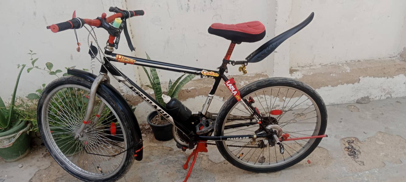 Imported Cycle 2