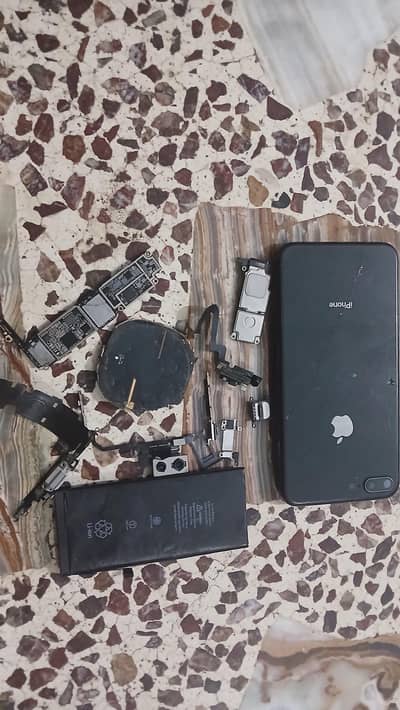 Apple iPhone Other Model
