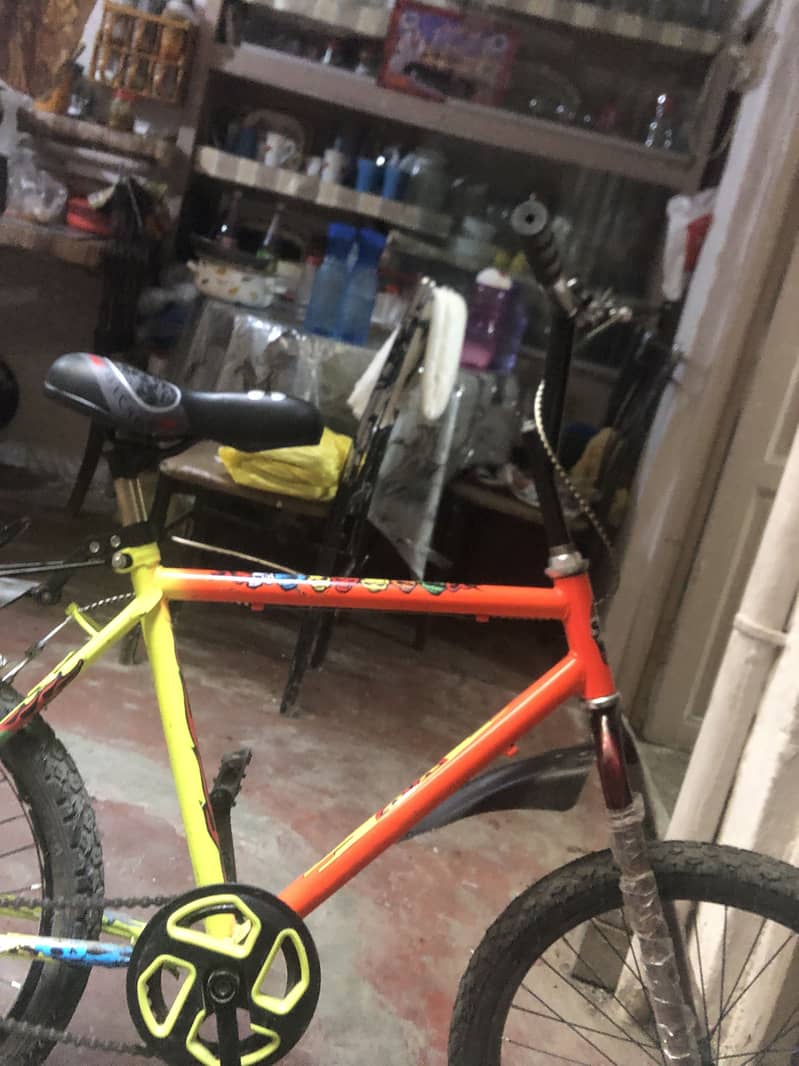 Phoneix Cycle 2