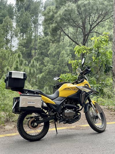New Asia Zonsen Carrera 250 CC
