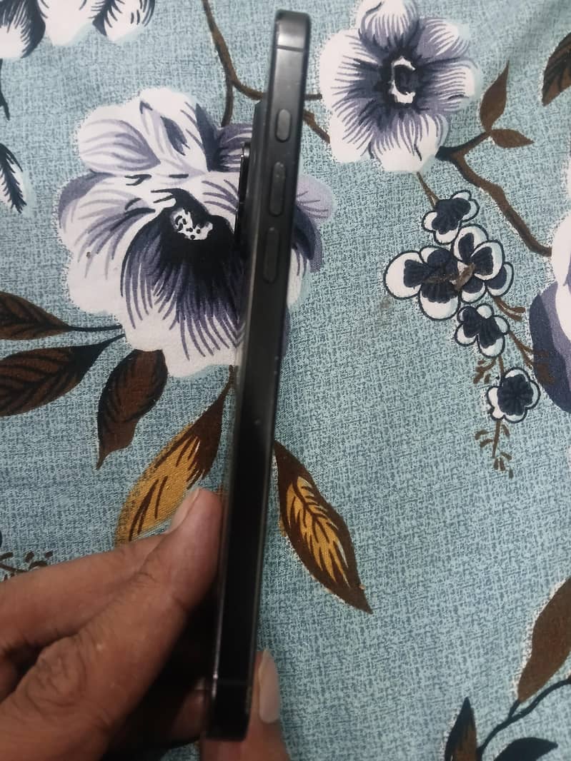 Apple iPhone 16 Pro Max 1