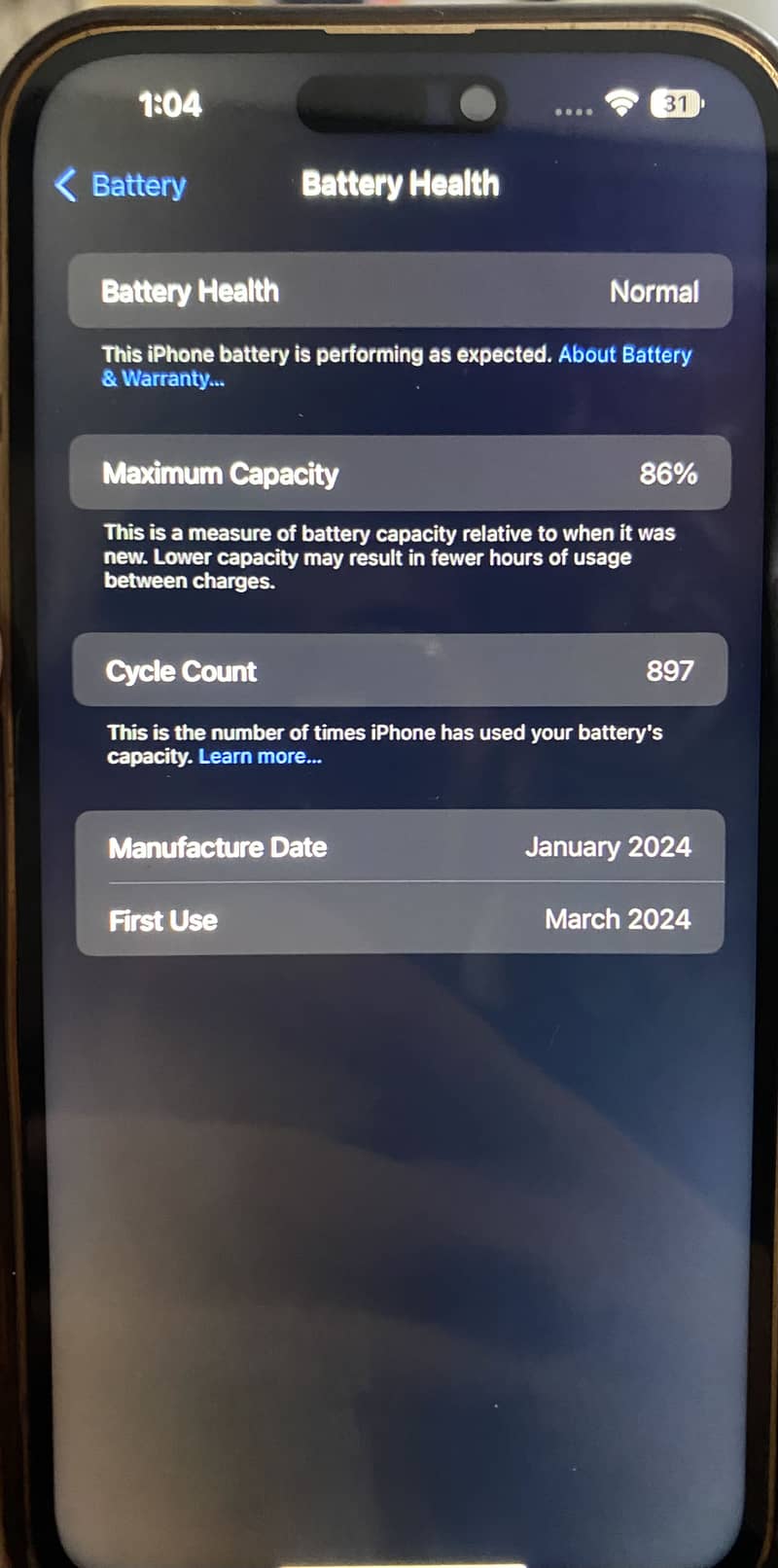 Apple iPhone 15 Pro Max 1