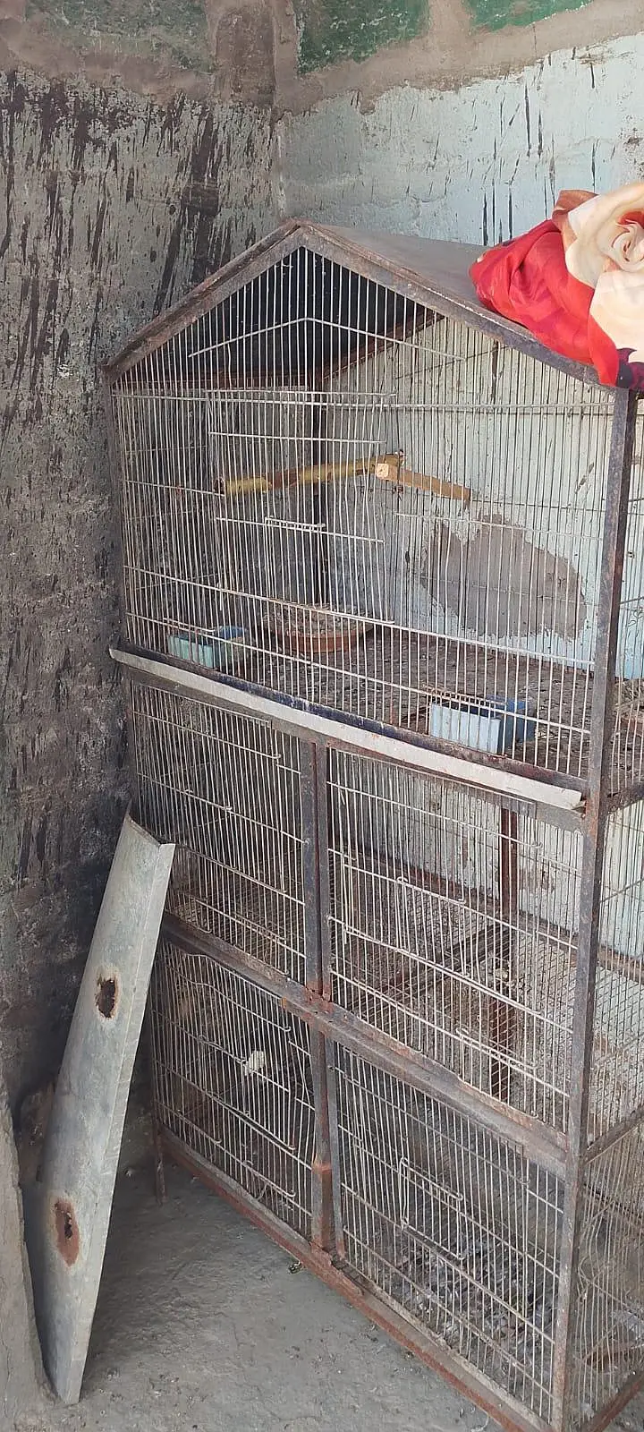 Hen and parrots cage 12 Khana wala aur 5 Khana wala — photo 4