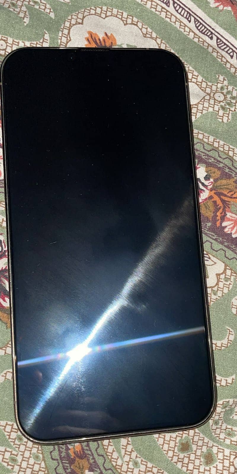 Apple iPhone 13 Pro Max 1