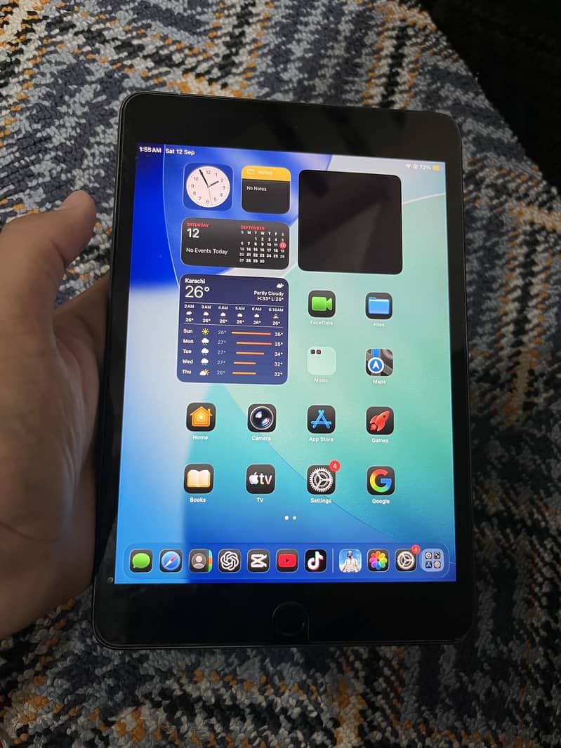 i pad Mini 5 0