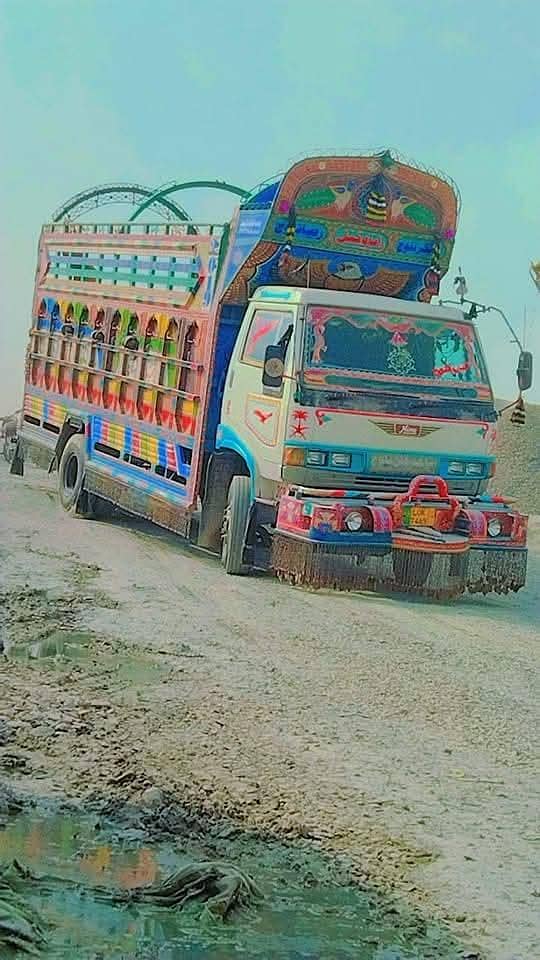 habib movers 2
